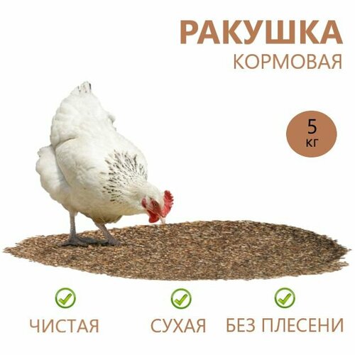 Ракушка для с/х птиц,/Минеральная добавка для с/х животных ракушка мелкая кормовая для кур
