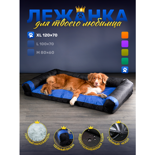 Диван-лежак антивандальный для собак очень крупных пород 120*70см Blue / black