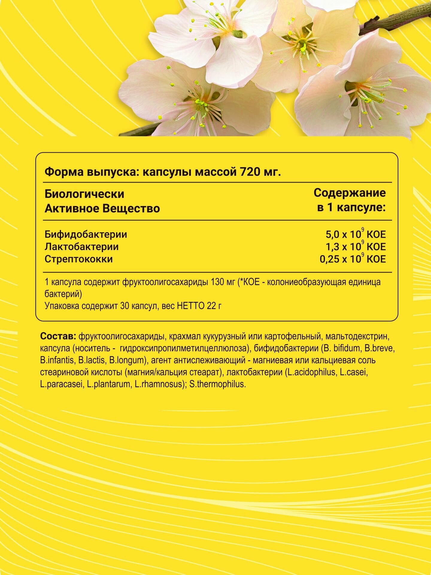 Изображение Пробиотики и Пребиотики PROBIO FIT 30 капсул бифидобактерии комплекс для пищеварения и микрофлоры