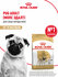 Сухой корм для собак Royal Canin Adult для породы мопс, 1,5 кг