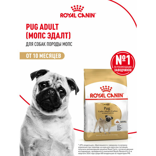 Сухой корм Royal Canin Pug Adult (Мопс Эдалт) для взрослых собак породы Мопс от 10 месяцев до 12 лет 7,5 кг