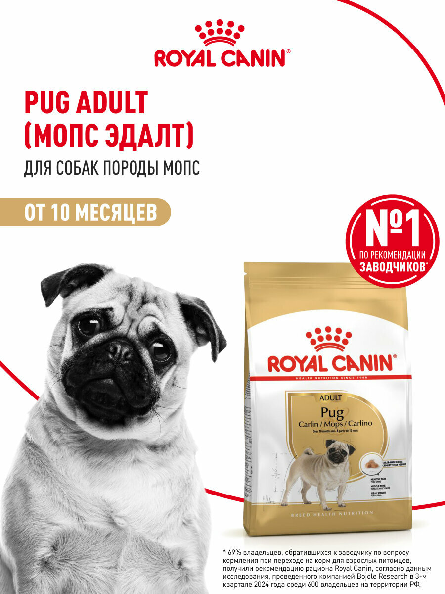 Сухой корм для собак Royal Canin Adult для породы мопс, 7,5 кг