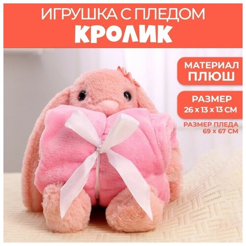 Мягкая игрушка с пледом 