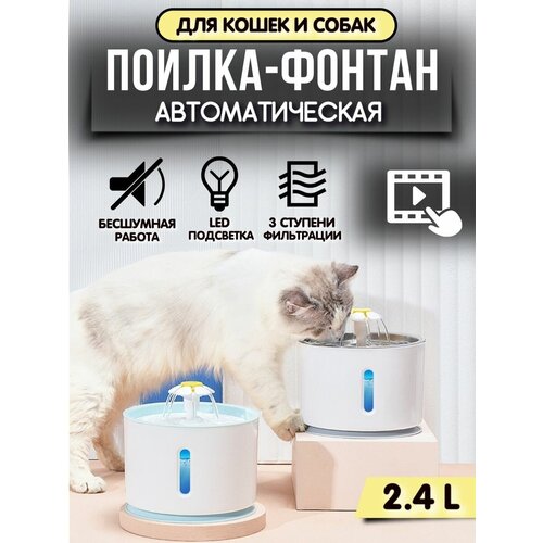 Фонтан поилка для животных