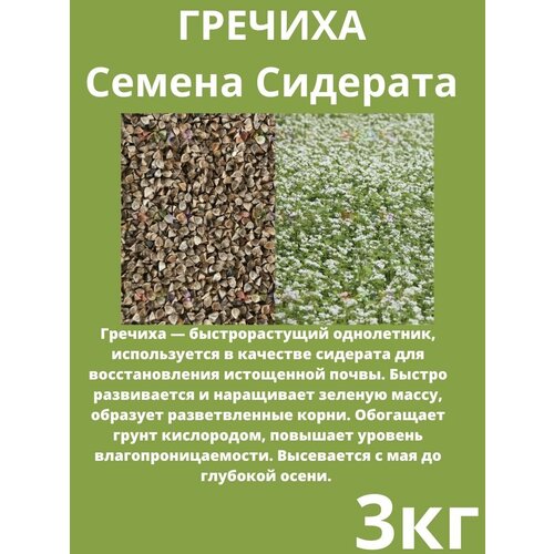 Семена Гречихи 3 кг