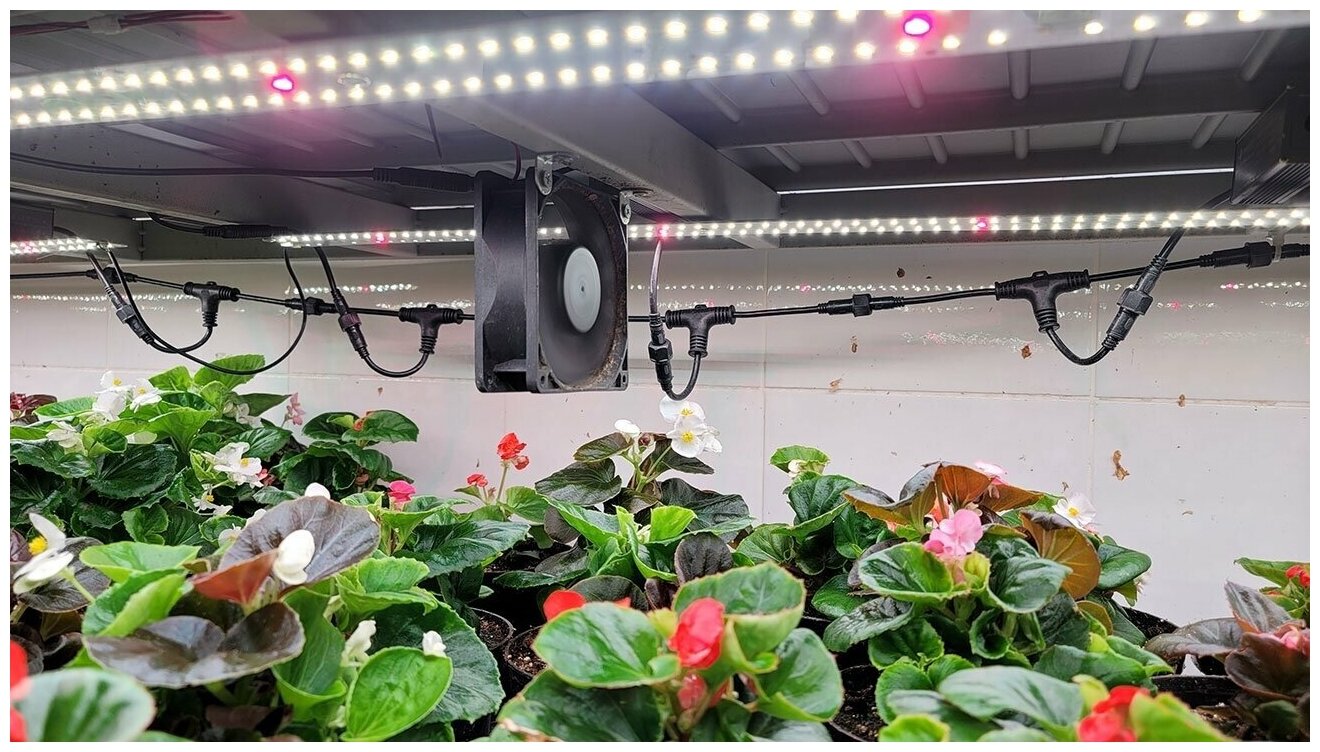Полноспектральная фитолампа для комнатных растений Sunlike 2.1.b Quantum line 4000K+660nm эконом драйвер, 20 Вт 30см - фотография № 10