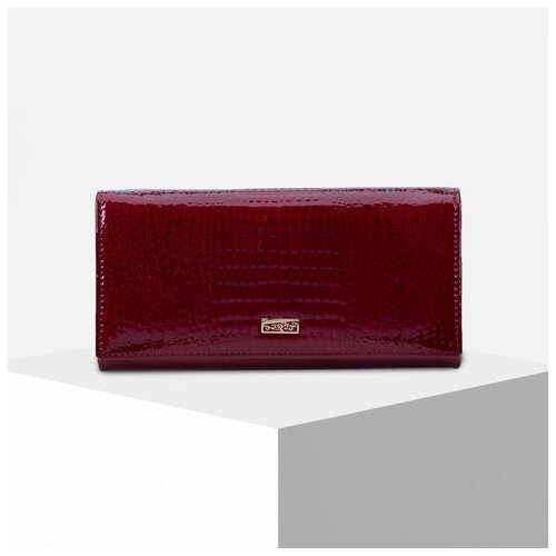 фото Кошелек жен 04-02-01, 19*3*9 см, 3 отд, д/карт, д/монет, 2 отд рамка, бордовый 6491187 сима-ленд