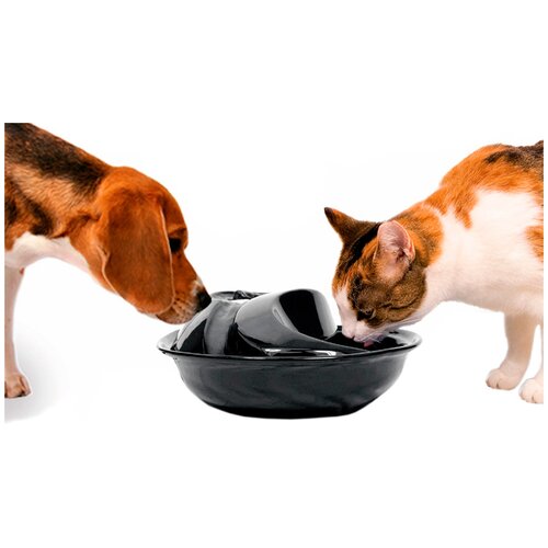 Поилка Pioneer Pet RainDrop 6022 Black