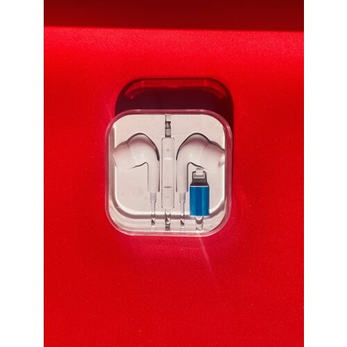 Наушнники проводные Lighting 59900₽