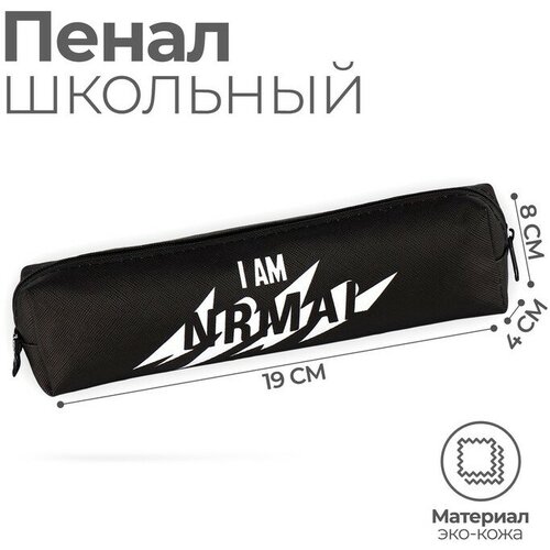 Пенал школьный из искусственной кожи «1 сентября: I AM NRMALl» , 19 х 8 х 3 см