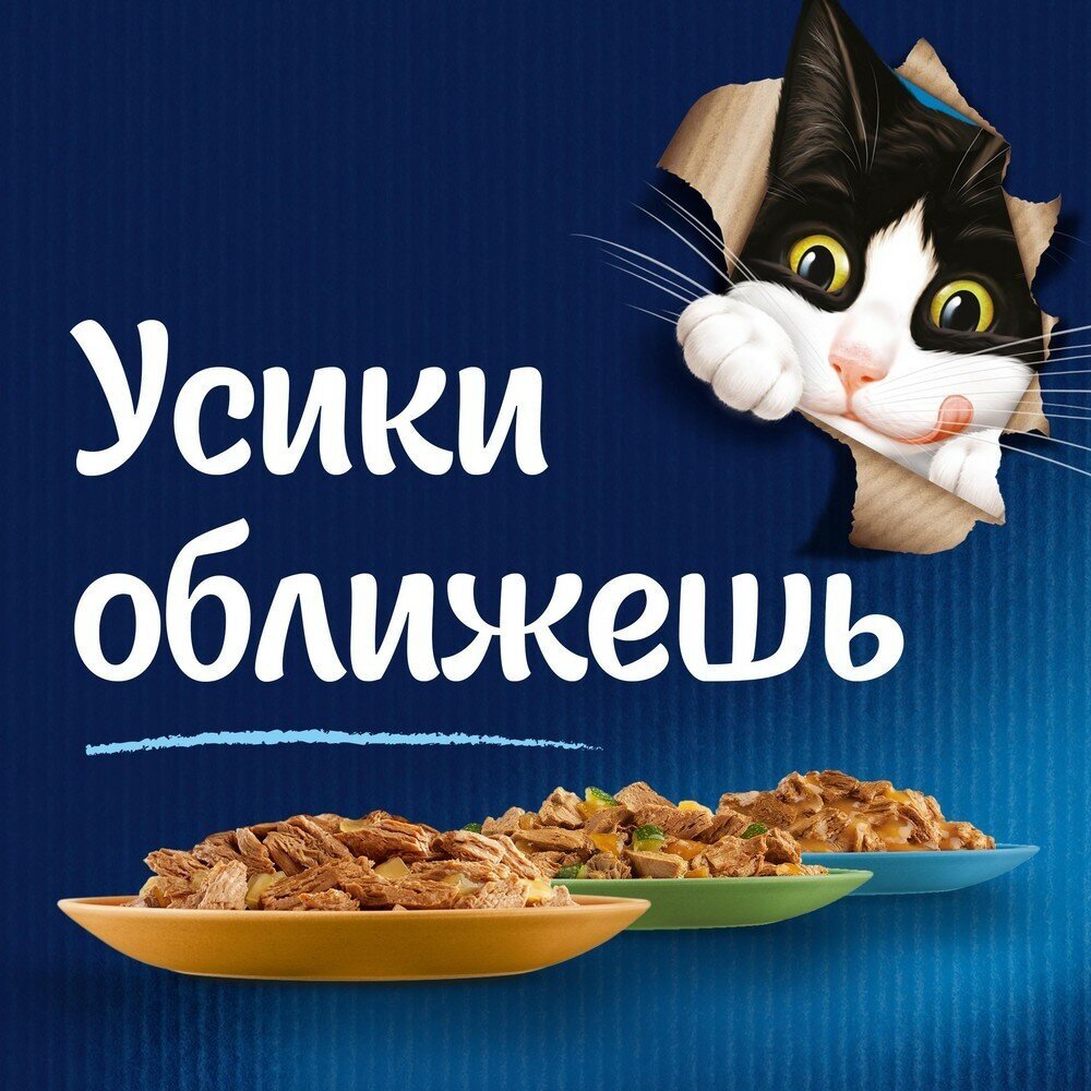Влажный корм Felix для взрослых кошек Аппетитные кусочки курица в желе 75 гр х 26 шт - фотография № 7