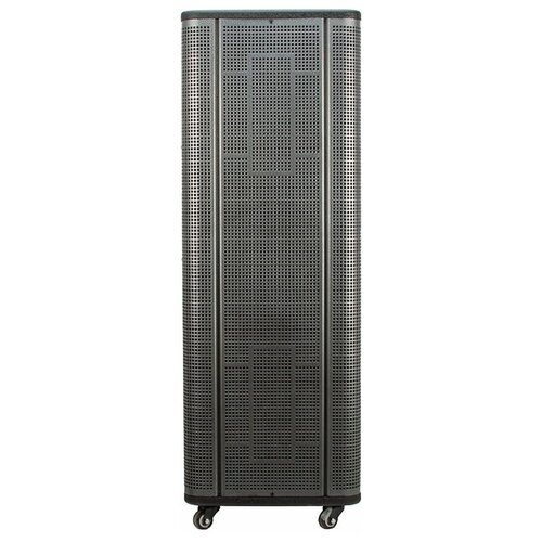 Портативная акустическая система Eltronic 12 20-36 BOX 2000 черный 4499000₽