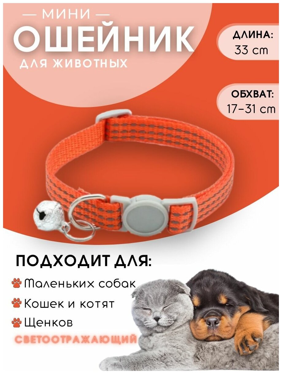 Ошейник с колокольчиком со светоотражающей нитью для собак и для кошек - фотография № 1