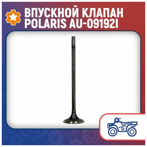 Впускной клапан Polaris AU-09192I