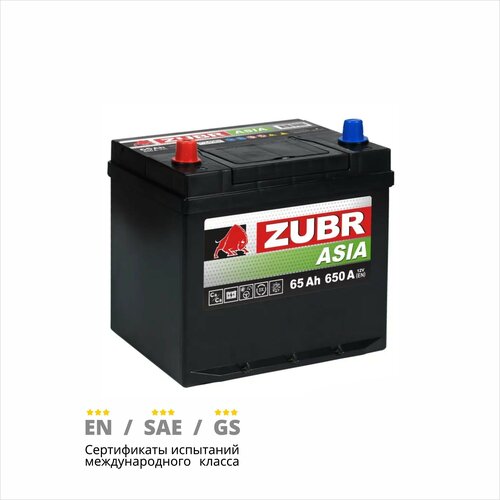 Аккумулятор автомобильный ZUBR Premium Asia (нижний борт) 65 Ah 650 A прямая полярность 230х179х225
