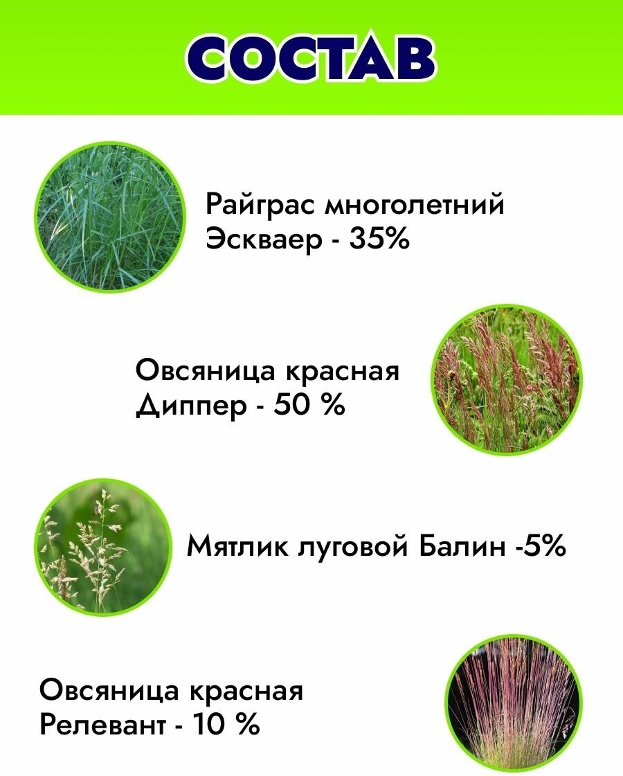 Газонная травосмесь орнаментал Для Ландшафтных Фантазий (ДЛФ) 75 кг