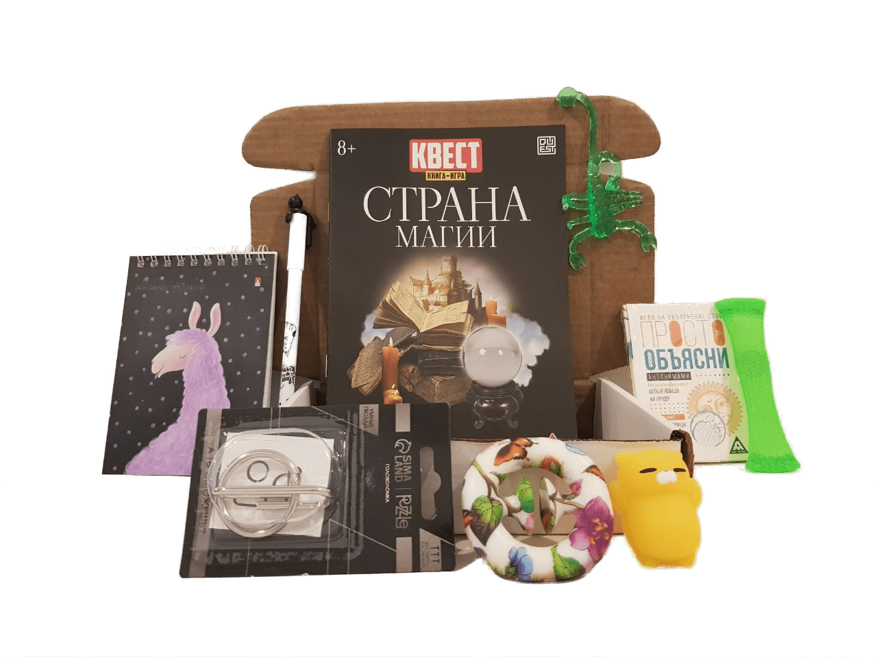 Развивающий подарок для детей 8-11 лет / подарочный игровой набор для детей в веселой упаковке