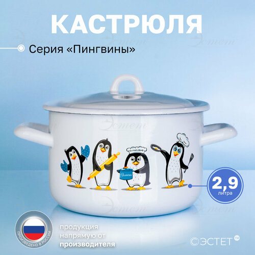 Кастрюля эмалированная для плиты 2.9 л