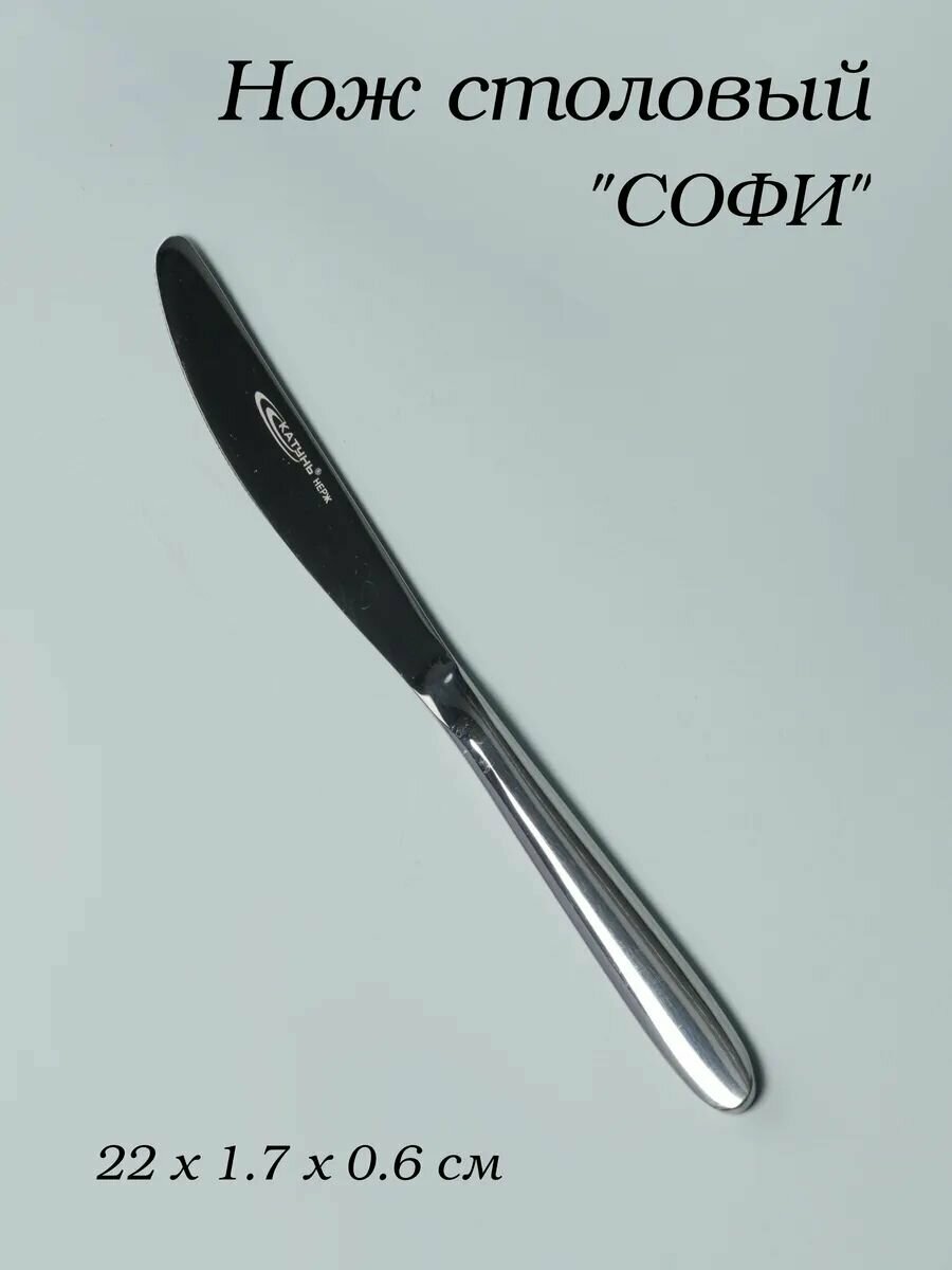 Нож столовый софи 6 мм 22 см