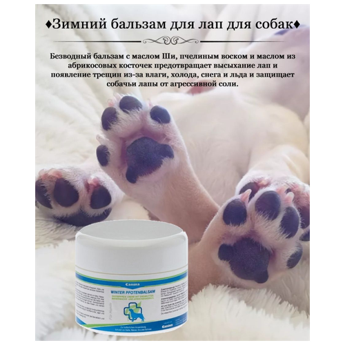 Зимний бальзам для лап Canina WINTER PFOTENBALSAM (100 мл)