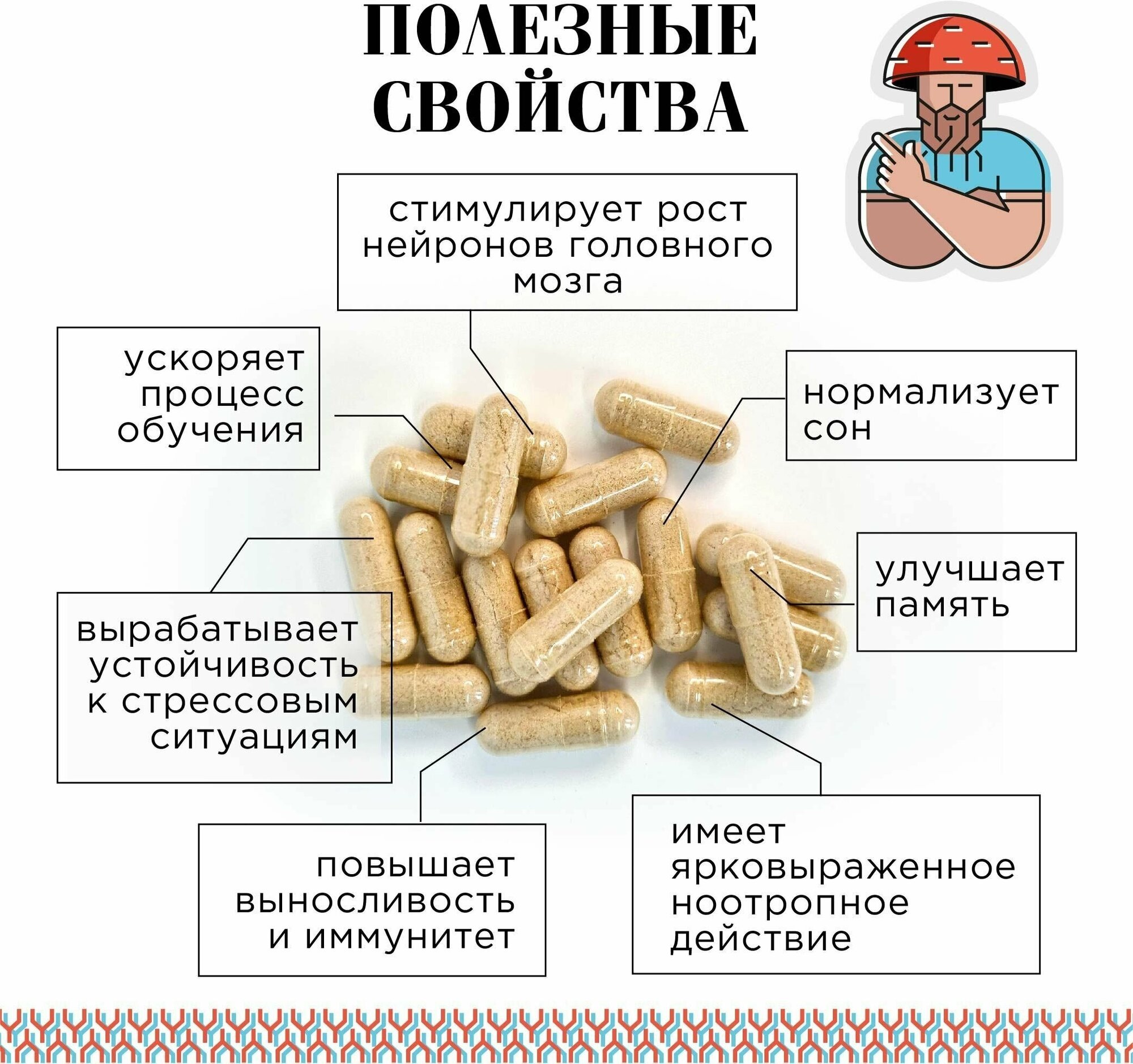 Ежовик (ежевик) гребенчатый мицелий капсулы/90 капсул/