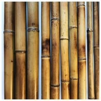 Бамбуковый ствол обожженный D 20-30мм. Длина 2.9-3м.