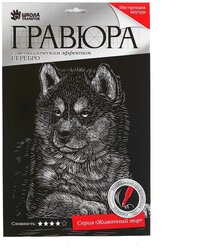 Гравюра Школа талантов Щенок Хаски (2147960) серебристая основа