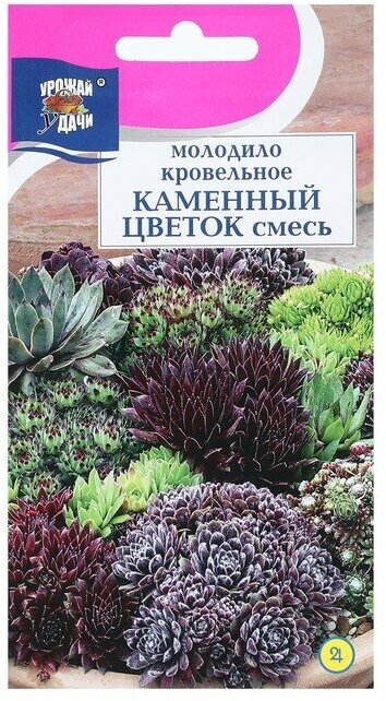 Семена цветов Молодило "каменный цветок", смесь, 0,05 г