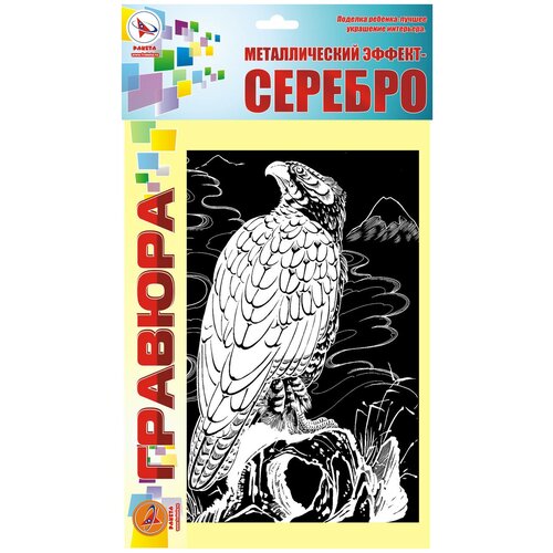 Гравюра: ястреб. Серебро арт р155