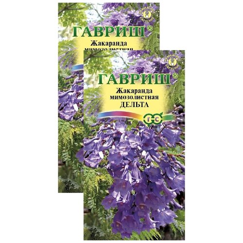 Жакаранда Дельта (3 шт), 2 пакета жакаранда мимозолистная дельта семена цветы
