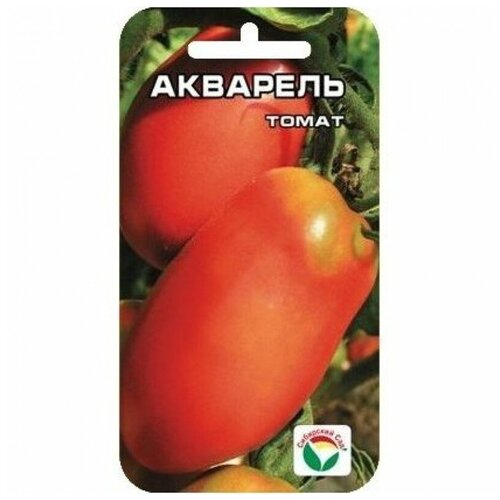 Акварель 20шт томат (Сиб сад) семена томат дачник 20шт сиб сад