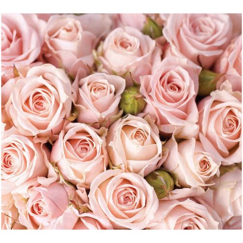 Панно декоративное FLIZETTO Розовые розы 3*2,7 м