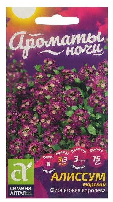 Семена цветов Алиссум "Фиолетовая Королева", Сем. Алт, ц/п, 0,1 г