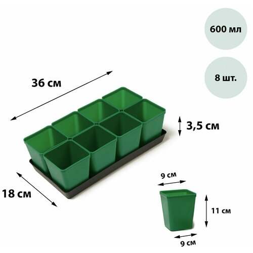 Набор для рассады стаканы по 600 мл (8 шт, поддон , Greengo