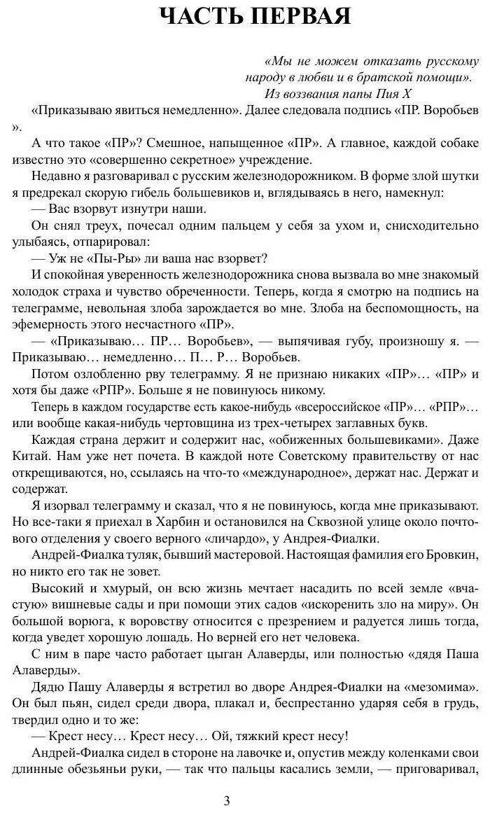 Книга Рейд Черного Жука (Макаров Иван Иванович, Горяйнов Алексей Георгиевич) - фото №2