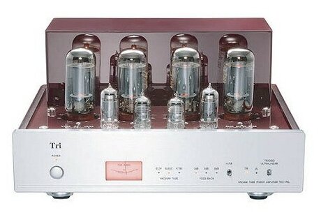 Усилитель мощности Triode TRX-P6L