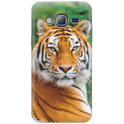 RE: PA Накладка Transparent для Samsung Galaxy J3 (2016) с принтом Портрет тигра re pa накладка transparent для samsung galaxy s8 с принтом портрет тигра