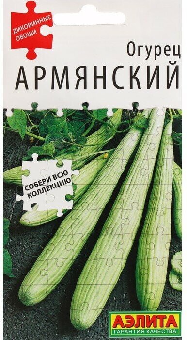 Семена огурца "Армянский", 10 шт.