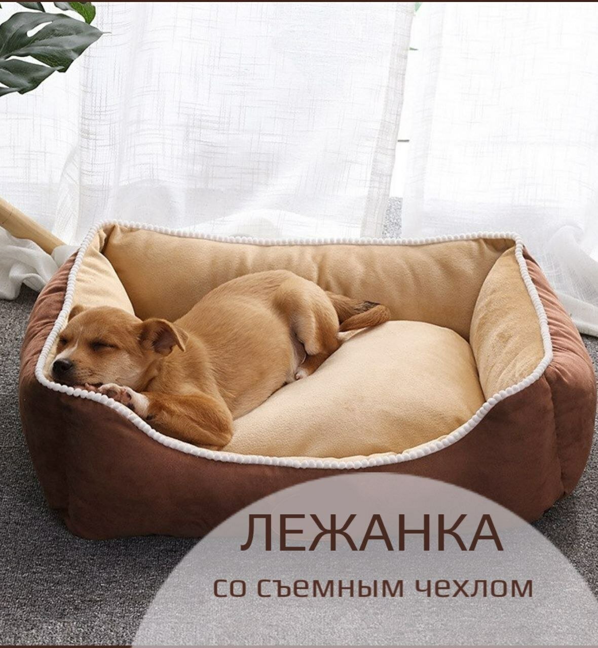 Лежанка для собак со съемных чехлом 70*60см , для крупных и средних пород собак и кошек - фотография № 1