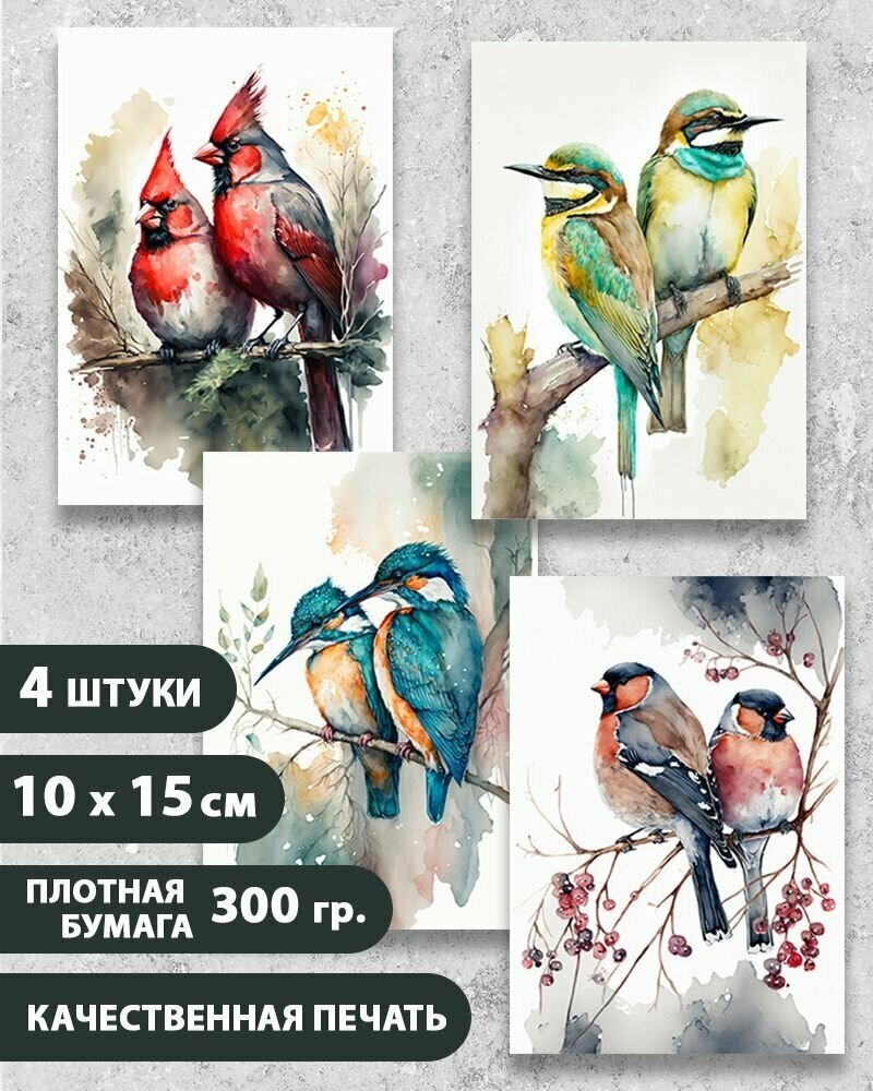 Набор открыток "Птицы 3", 10.5 см х 15 см, 4 шт, InspirationTime, на подарок и в коллекцию