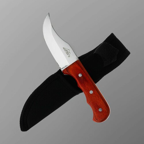 Нож туристический Абсалон 16 см, в чехле, деревянная рукоять с выемками нож appetite лофт kf3038 6 длина лезвия 95mm