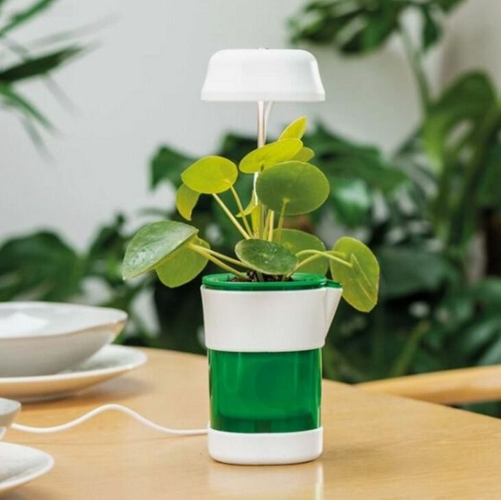 Фитолампа, для цветов и рассады, светодиодная, питание от USB, настольная, 35 см x 10 см