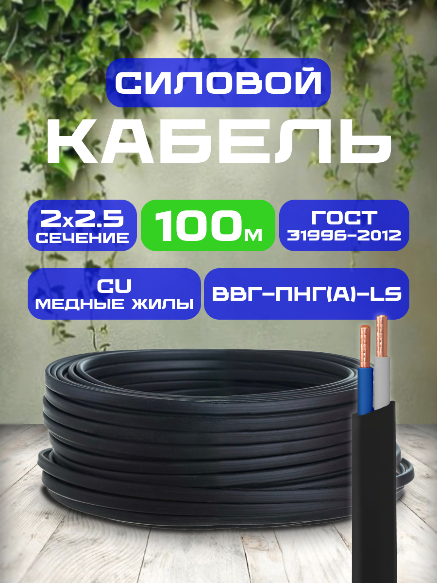 Силовой кабель ВВГ-ПНГ(A)-LS 2х25 100 м