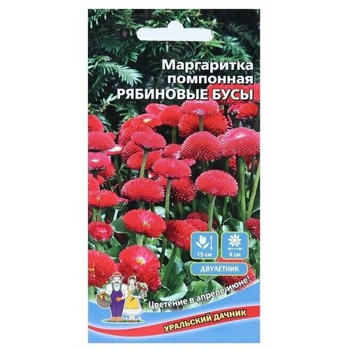 Семена цветов Маргаритка Рябиновые бусы, 0,03 г 4 упаковки семена маргаритка радуница 4 упаковки 2 подарка