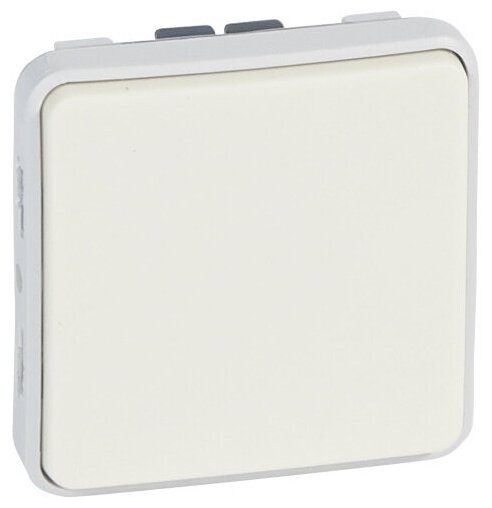 фото Выключатель кнопочный 10А (Н.О.), IP55, Белый. Plexo. Legrand 069630