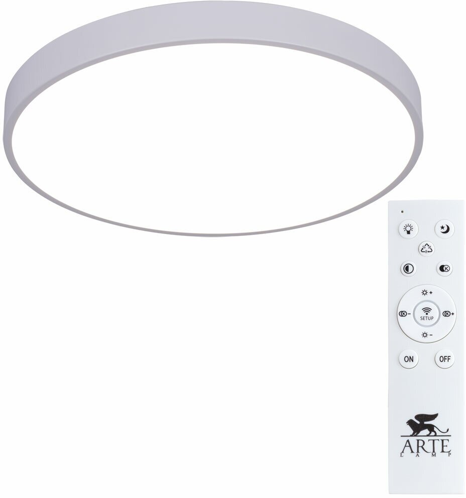 Потолочный светильник Arte Lamp ARENA A2670PL-1WH