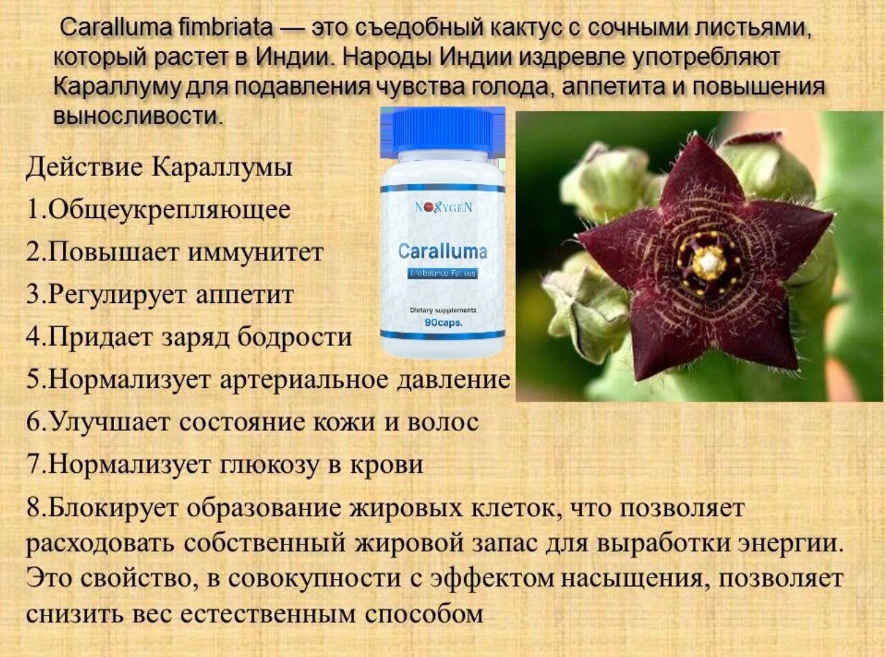 Noxygen Caralluma 500мг 90 таб. для контроля аппетита, жиросжигания