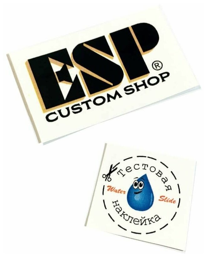 Переводная декаль на гитару "ESP custom shop (двухцветный)"