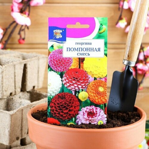 Семена цветов Цв Георгина Смесь Помпонная,0,2 гр 6 упаковок