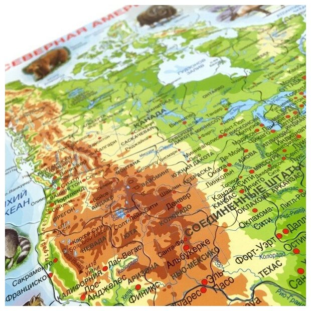 Пазл рамка-вкладыш Larsen Макси Карта Северной Америки с животными (A32-RU) - фото №2